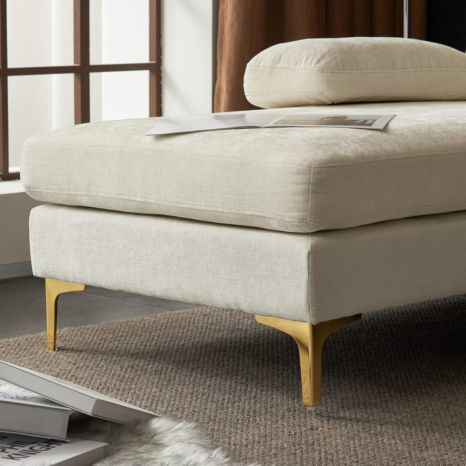 Our Honest Take on the Karl Home 110