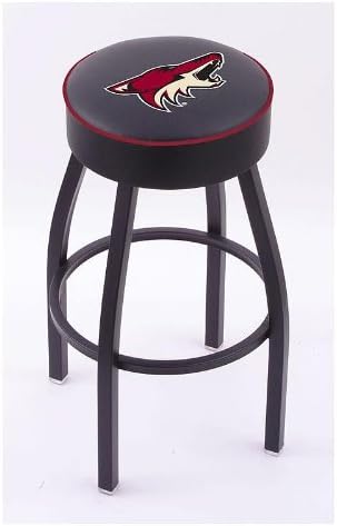 Our Take on the Phoenix Coyotes 30