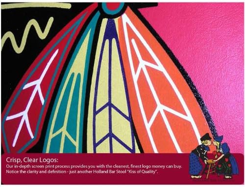 Our Take on the Phoenix Coyotes 30