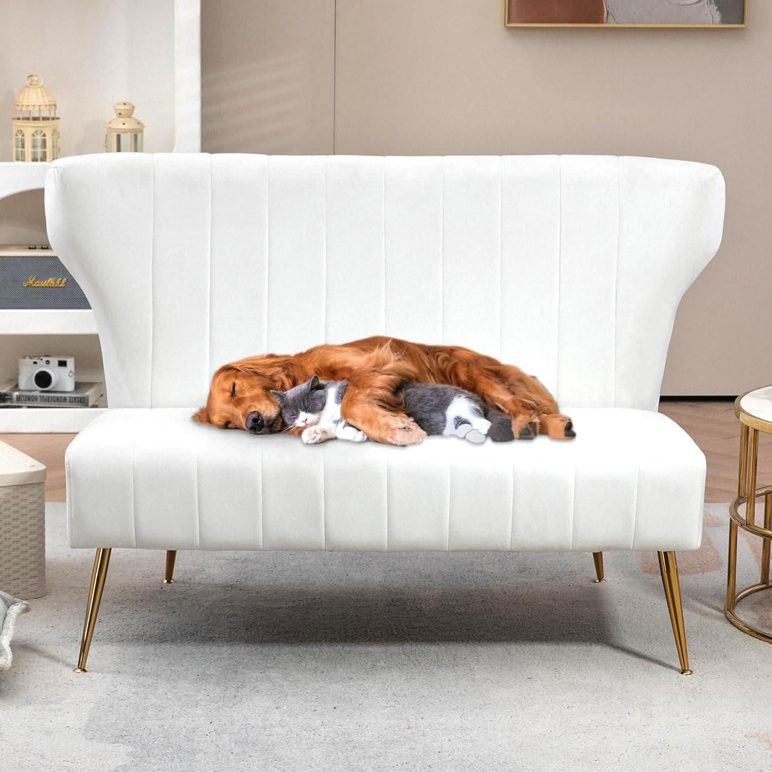 Our Take on the 50'' Velvet Loveseat: Stylish and Sturdy Choice