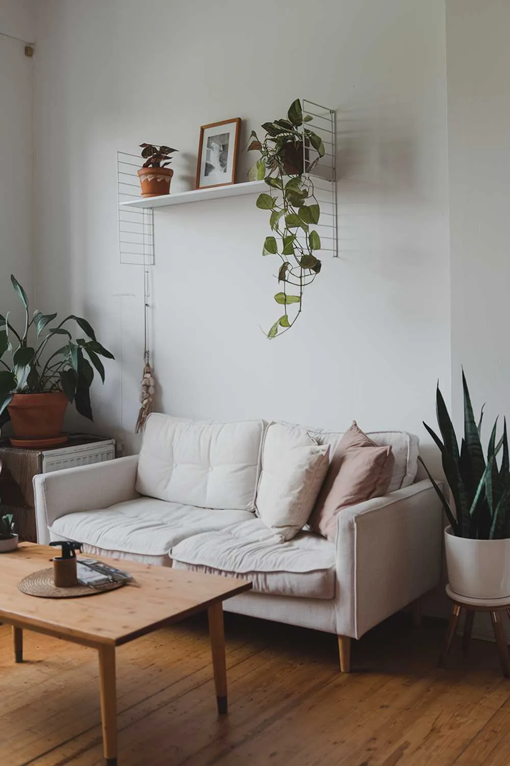 Minimalist Scandinavian living room with white sofa, wooden coffee table, and potted plants