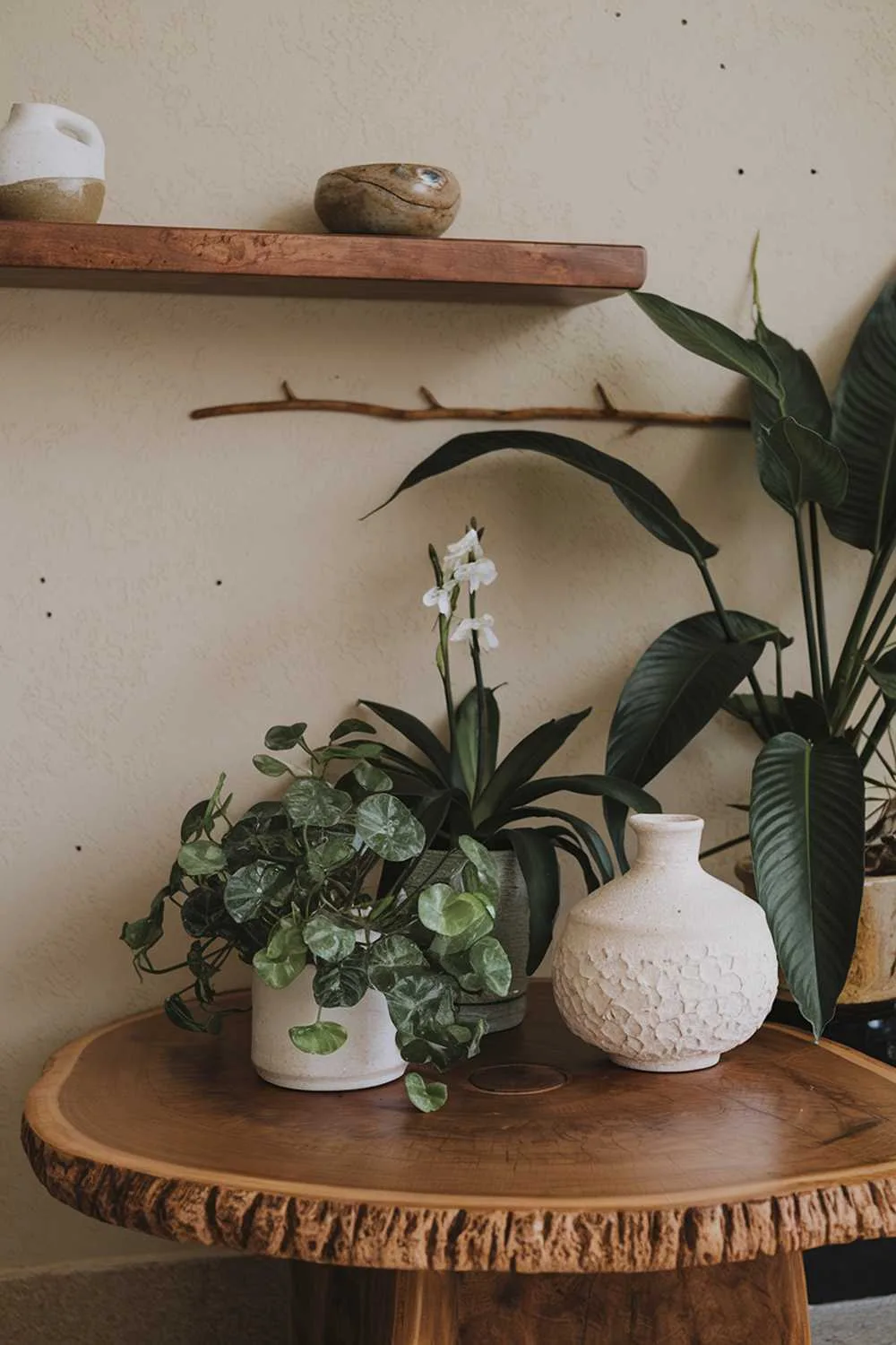 Round wooden coffee table with textured surface, multiple plants, white ceramic vase, and wooden shelf with decor.
