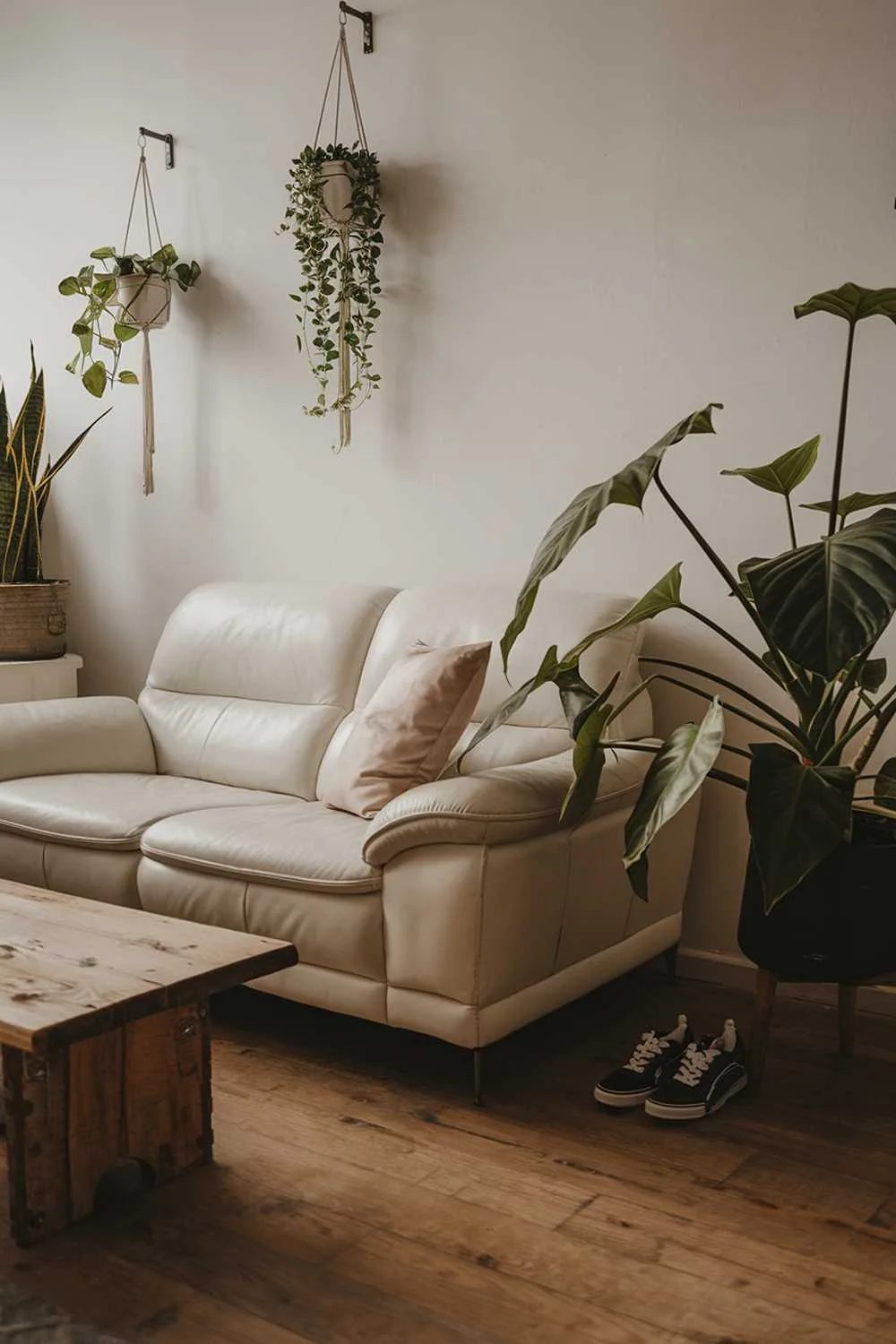 White leather sofa with cushions, wooden coffee table, large plant, hanging plants, and wooden floor.