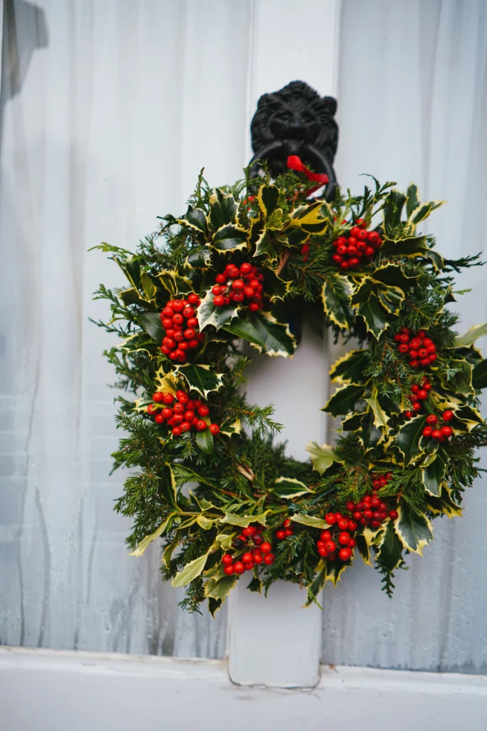 Holly berry wreath with variegated leaves