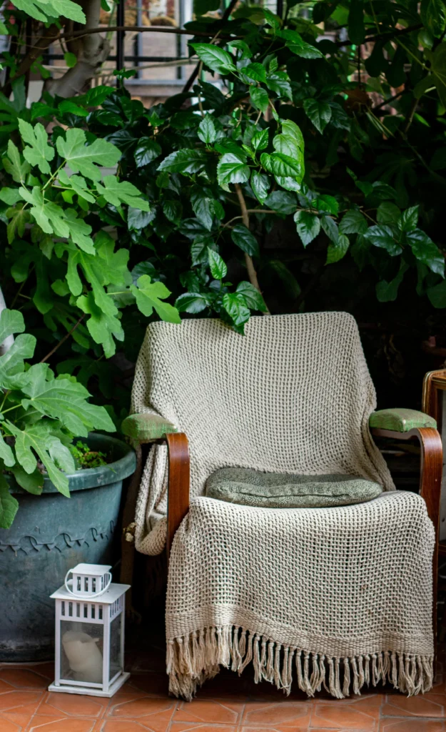 Wooden armchair with chunky knit throw surrounded by large leafy plants