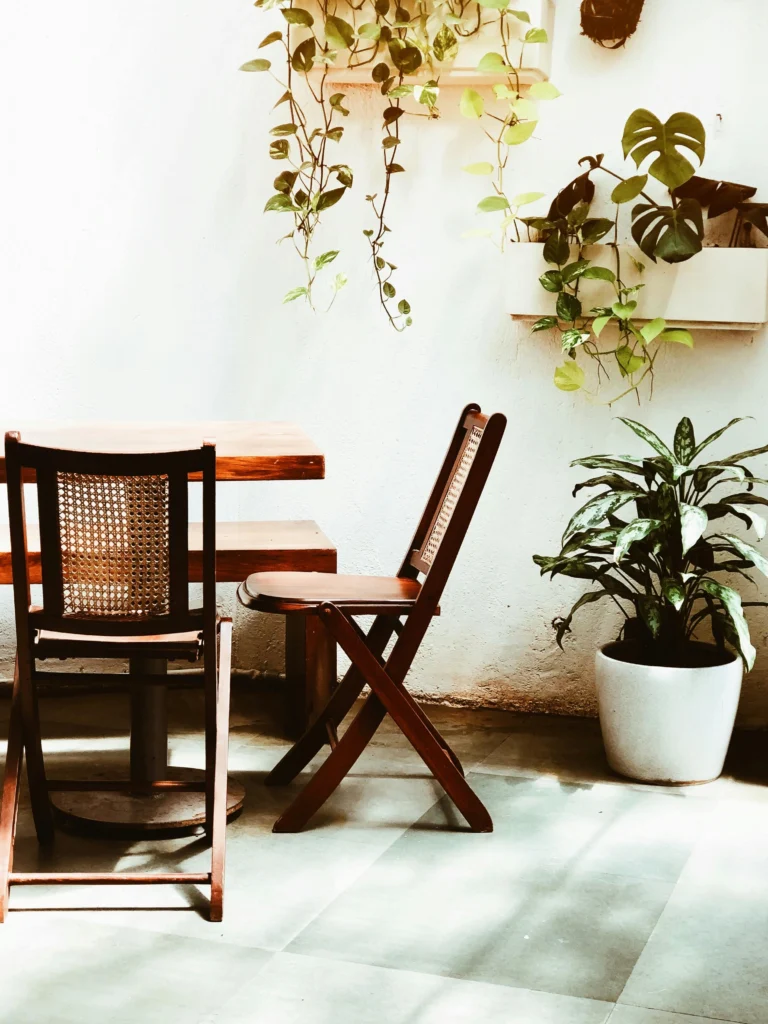 White wall with dark wood furniture and climbing vines