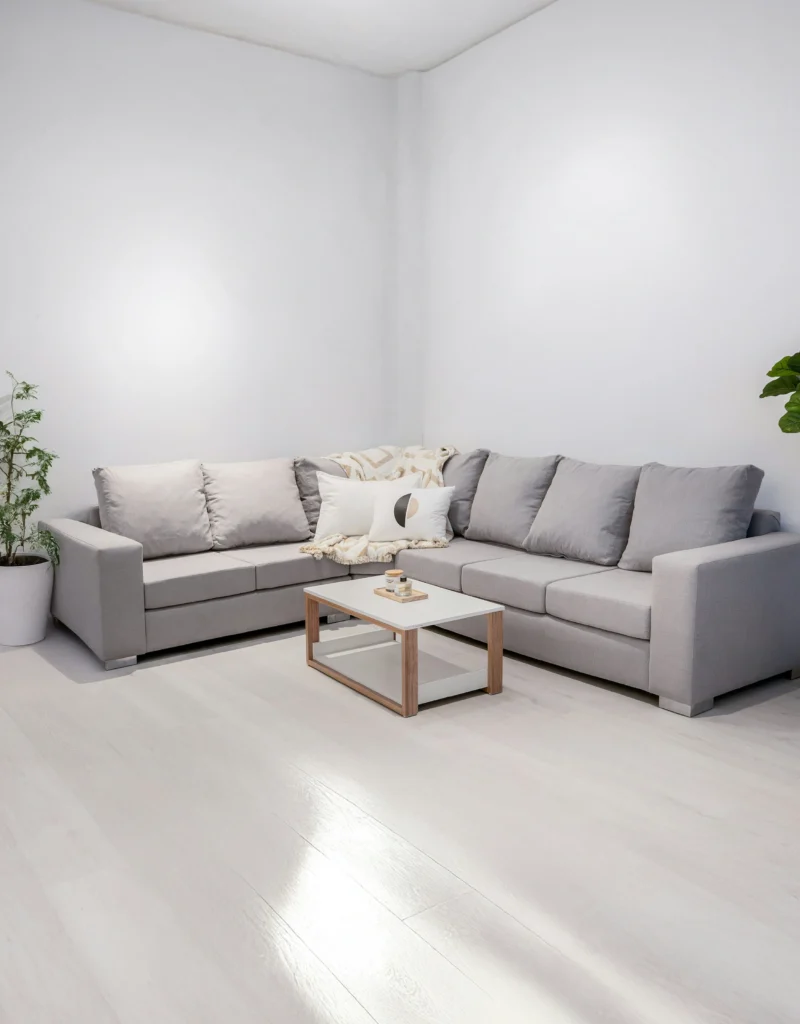 Minimal Gray Living Room