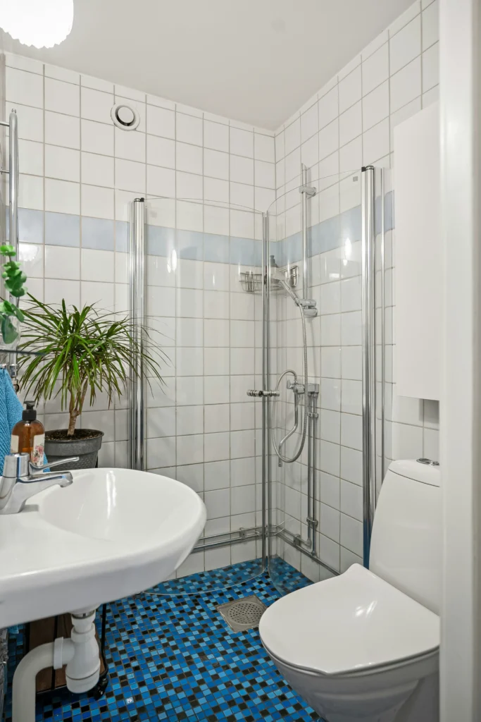 Retro Bathroom Design