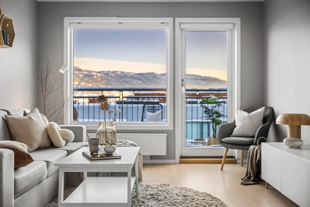 Minimalist decor in small living rooms