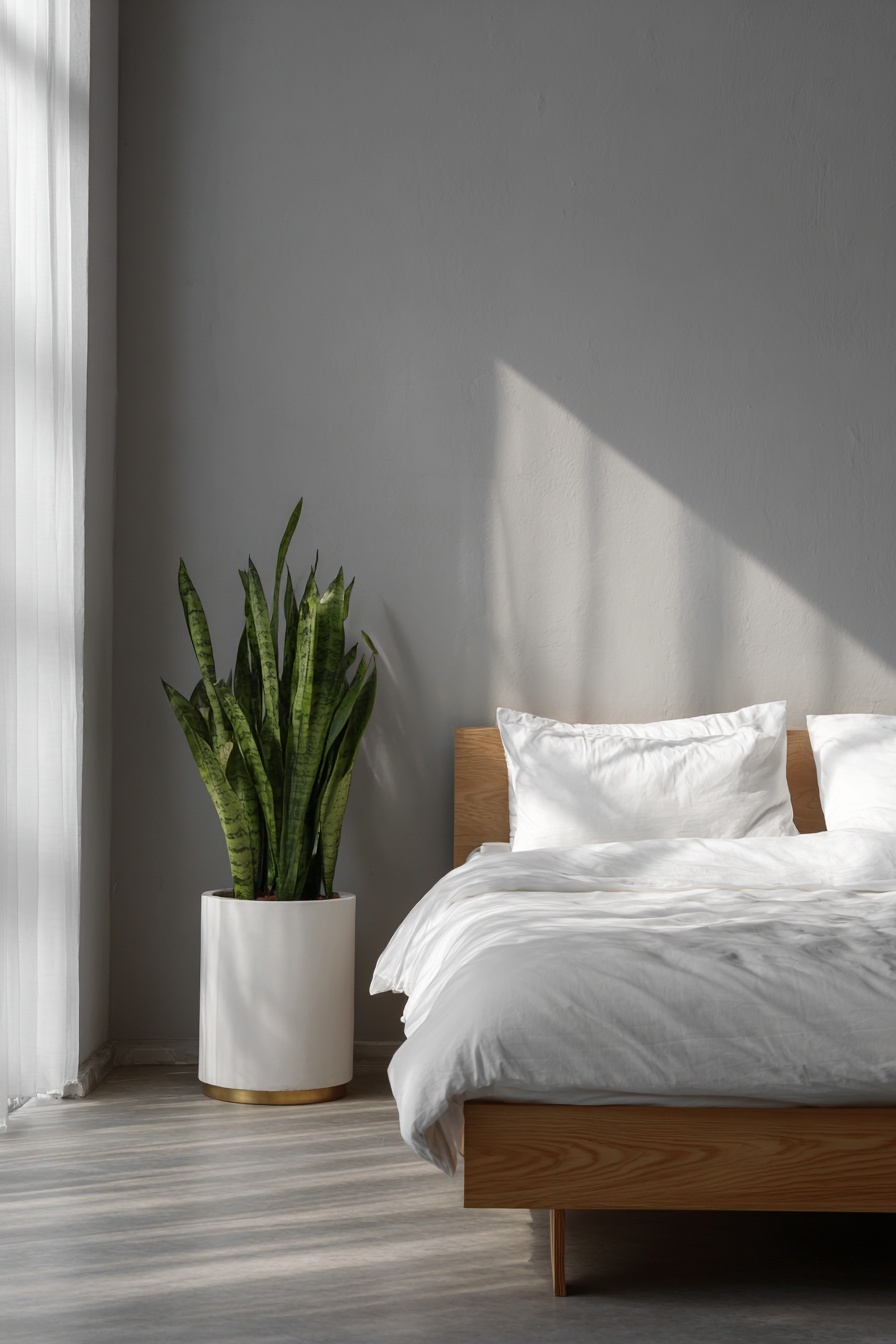 Add a Minimalist Plant