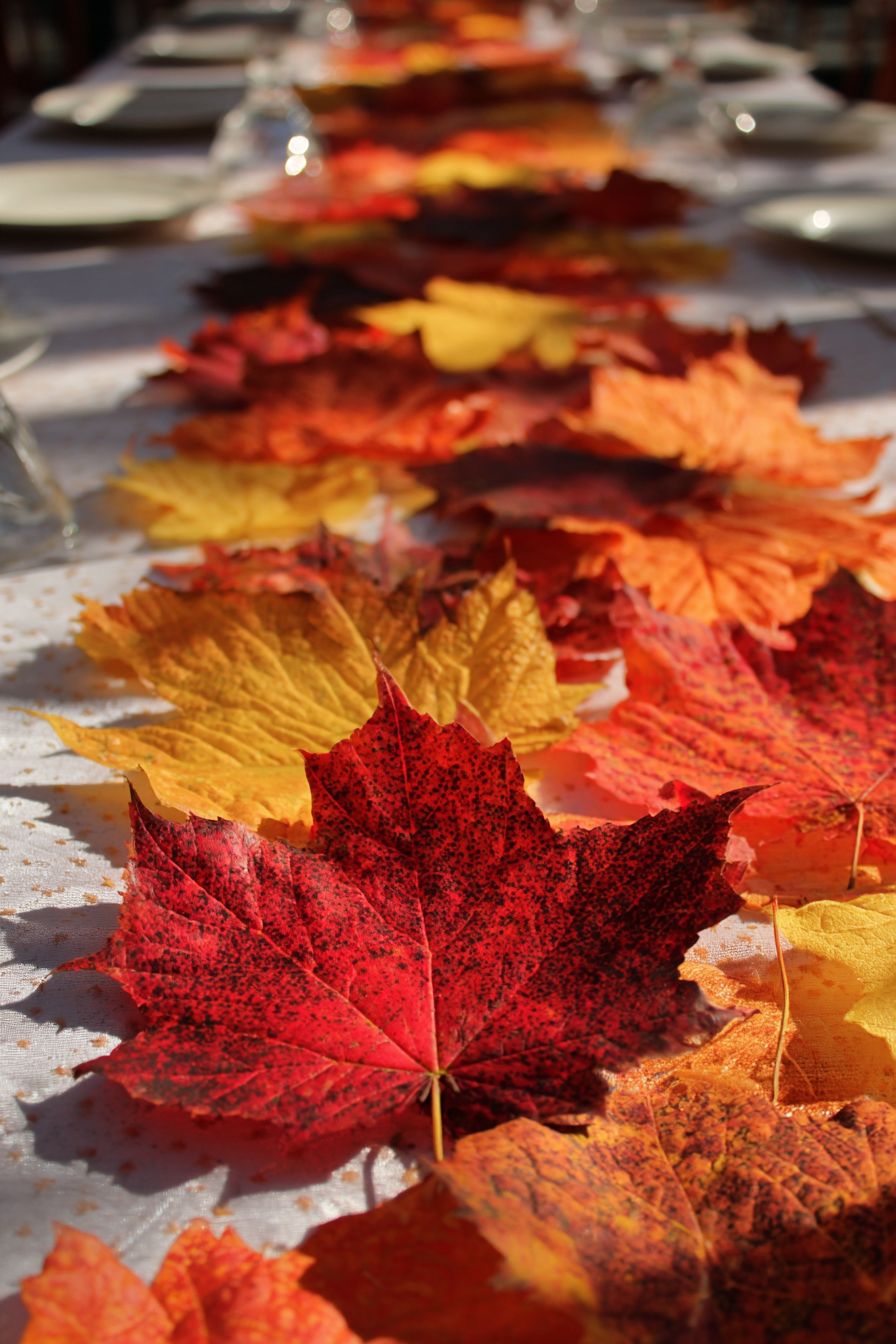Maximize Decor Using Leafy Table Runners