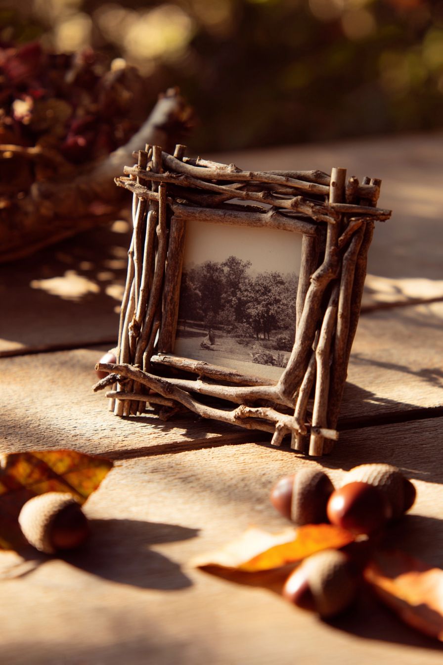 Design Rustic Twig Picture Frames