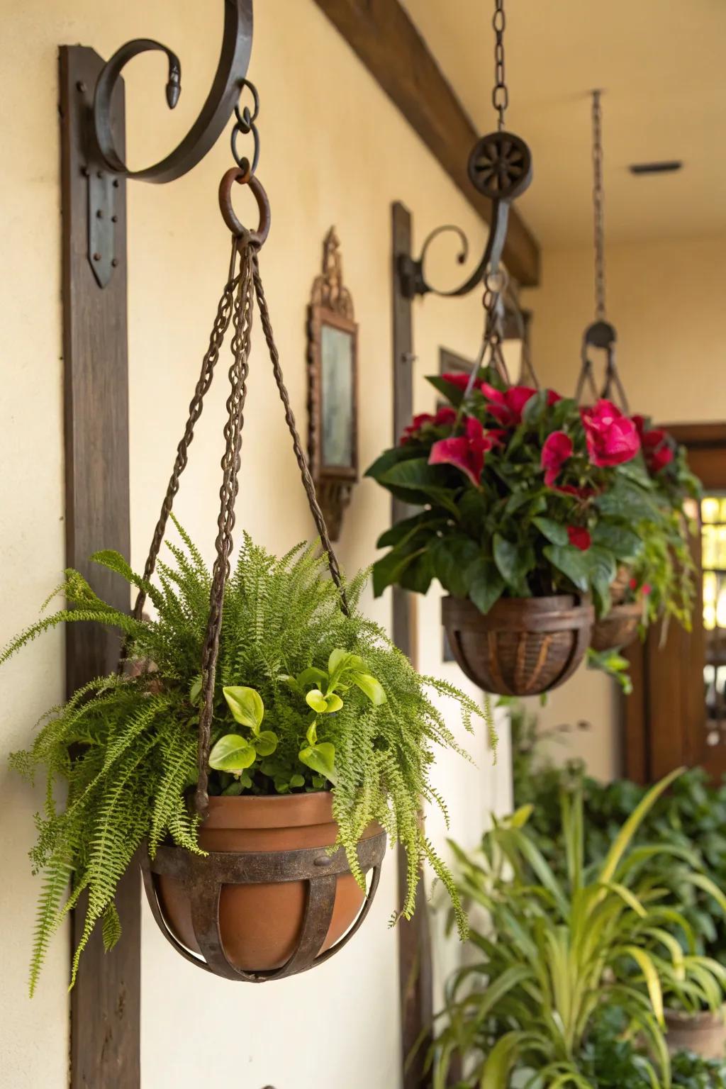 Distinctive plant hangers showcasing your greenery.