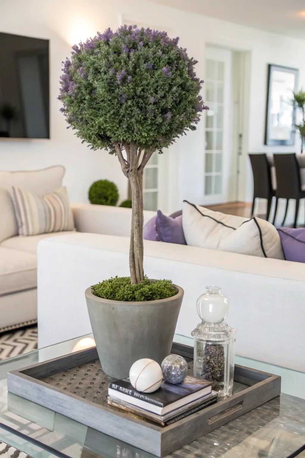 Lavender topiary adding elegance and scent to a modern living room