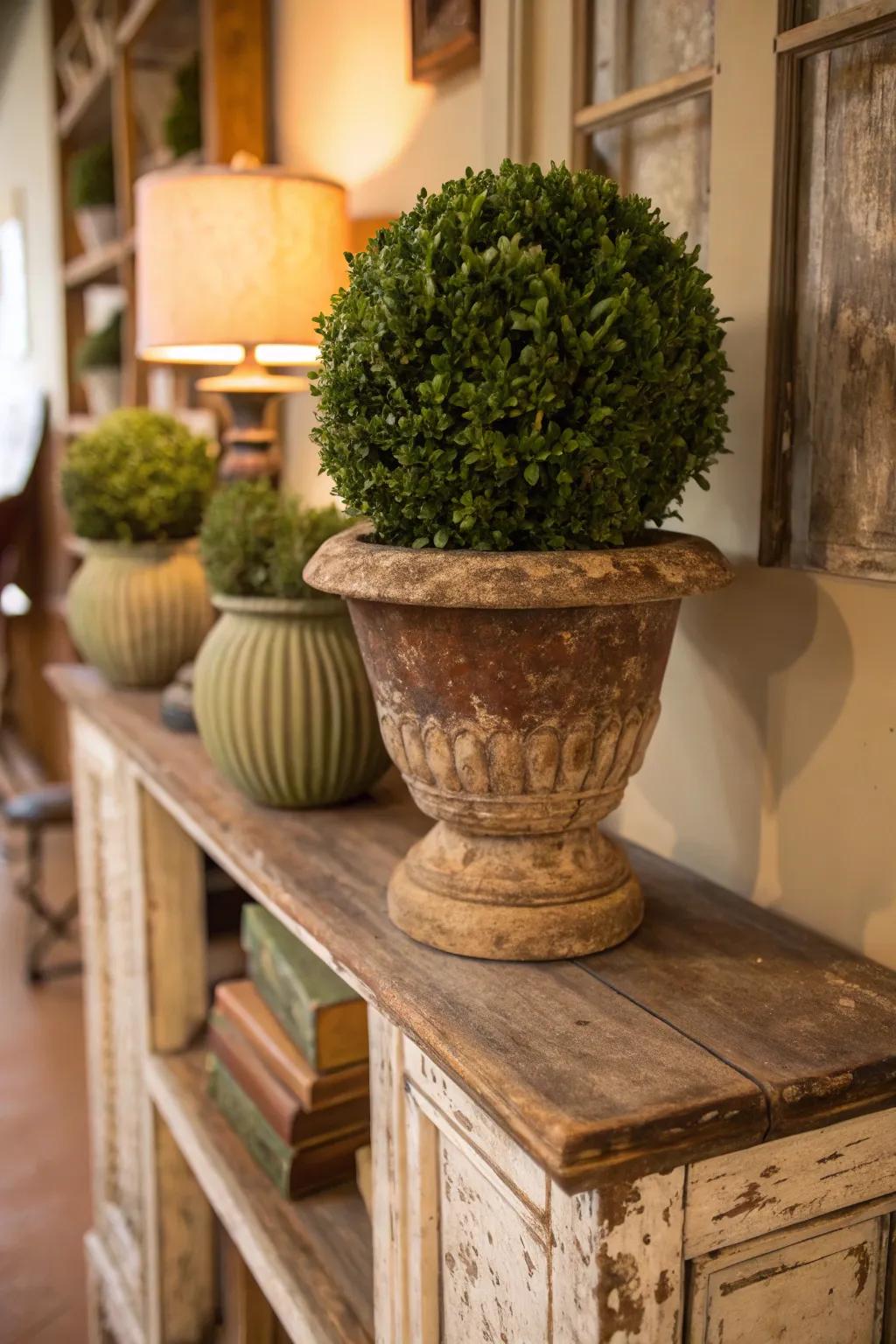 Vintage-style aged pot topiary on rustic shelf