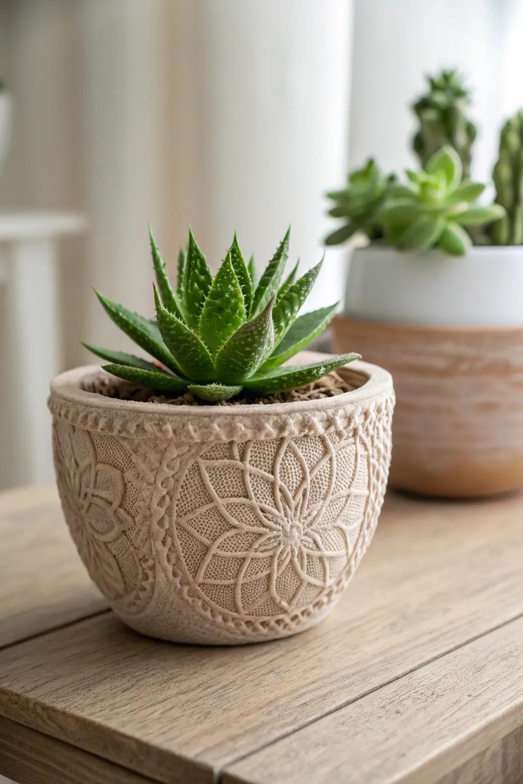 Add tactile charm with textured clay succulent planters.