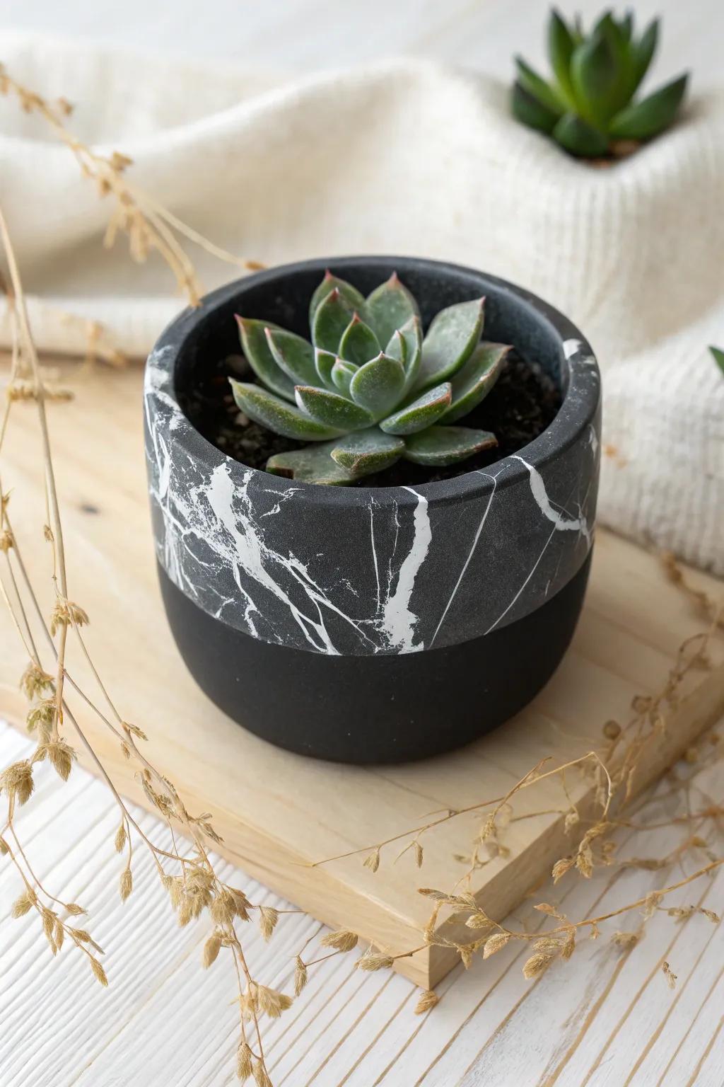 Add minimalist elegance with monochrome clay succulent planters.