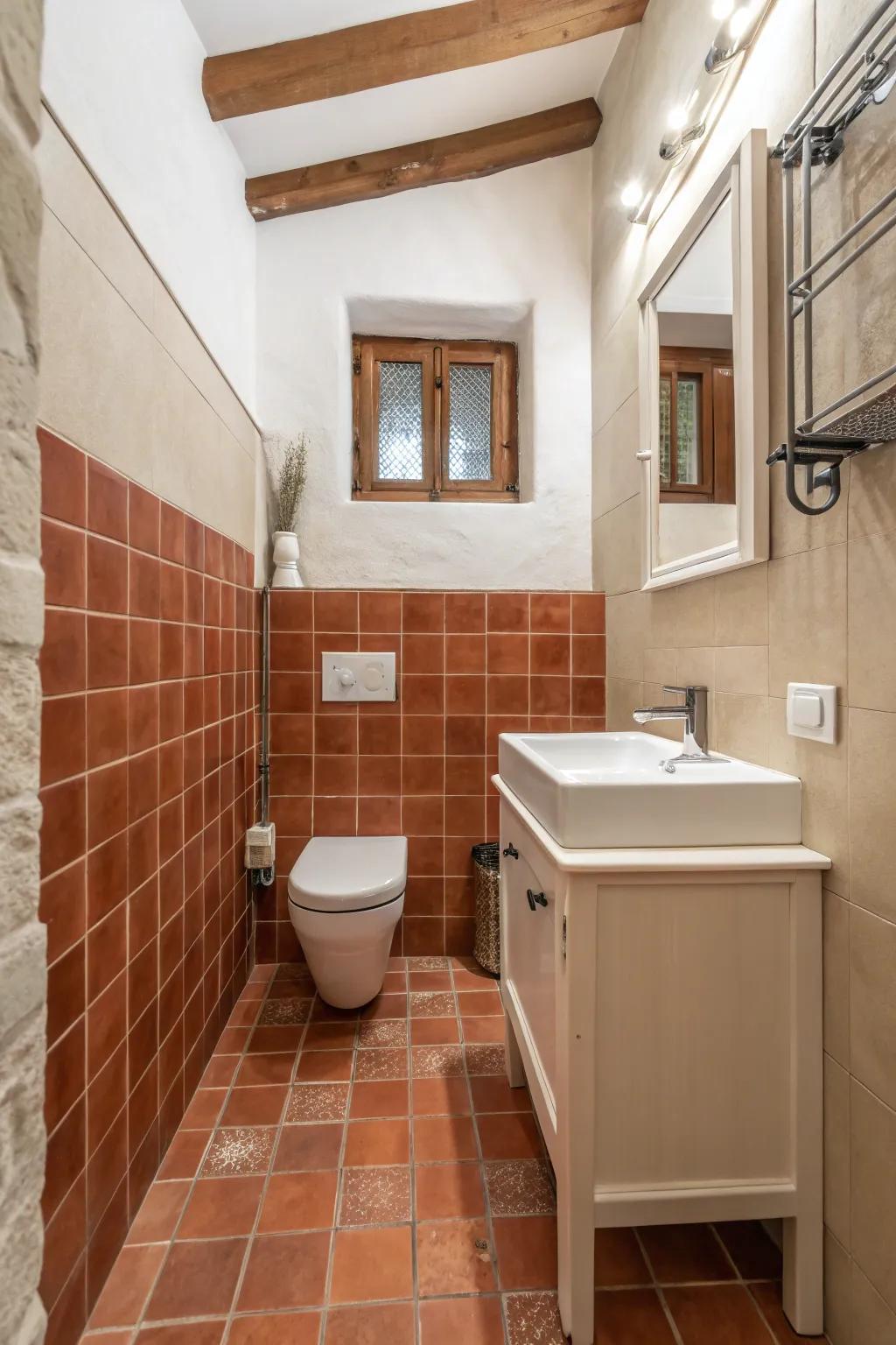 Selective terra cotta accents warming up a small bathroom.