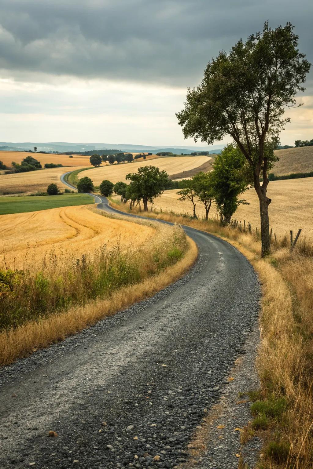 Rustic tar and chip driveway.